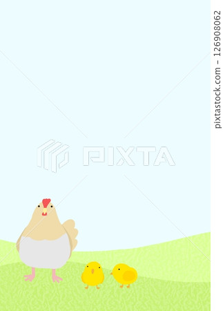 雞背景B-2 126908062