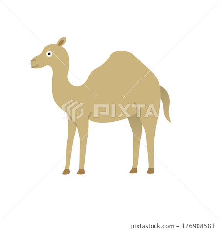 簡單的動物插畫：駱駝 126908581