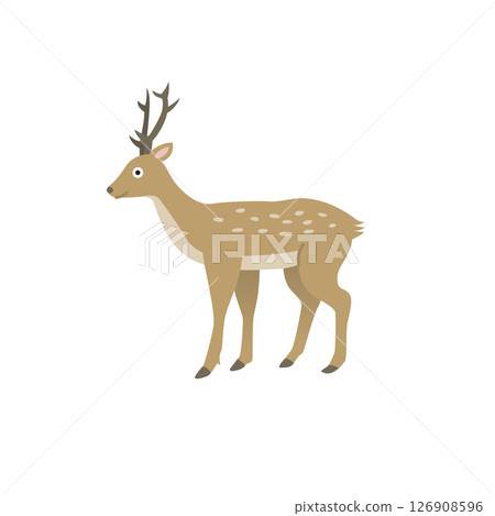 Simple animal illustration: Deer Simple animal illustration: Deer 126908596