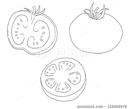 Tomato line drawing Tomato line drawing 126908976