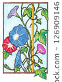 Vibrant morning glory 126909146