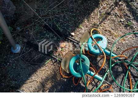 園丁的樹籬修剪機 126909167