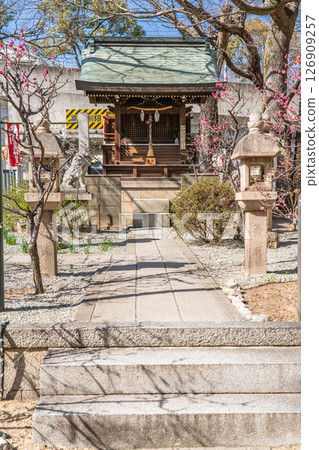 綱敷天滿宮(禦影天神社)神社內 屋敷雷神社(避邪的甘酒、避邪的薑茶)避邪祈禱 神戶市東灘區禦影 綱敷天滿宮(禦影天神社)神社內 屋敷雷神社(避邪的甘酒、避邪的薑茶)避邪祈禱 神戶市東灘區禦影 126909257