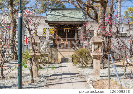 Tsunashiki Tenmangu Shrine (the God of Mikage) Shrine grounds Yashiki Ikazuchi Shrine (Amazake for protection from evil, ginger tea for protection from evil) Prayers for protection from evil, Mikage, Higashinada Ward, Kobe City Tsunashiki Tenmangu Shrine (the God of Mikage) Shrine grounds Yashiki Ikazuchi Shrine (Amazake for protection from evil, ginger tea for protection from evil) Prayers for protection from evil, Mikage, Higashinada Ward, Kobe City 126909258