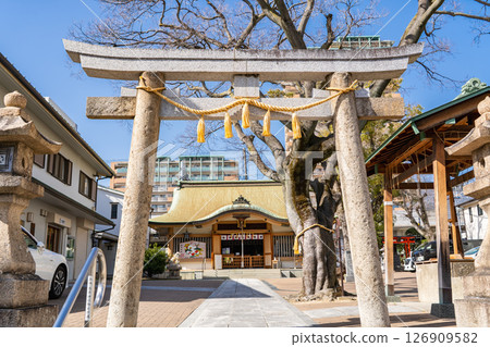 Broom Shrine, Tokui Shrine, Torii (the upper shrine of the three Tokui Hachiman Shrines), prayer for safe childbirth (a broom for safe childbirth is given), Yamatocho, Nada Ward, Kobe City Broom Shrine, Tokui Shrine, Torii (the upper shrine of the three Tokui Hachiman Shrines), prayer for safe childbirth (a broom for safe childbirth is given), Yamatocho, Nada Ward, Kobe City 126909582