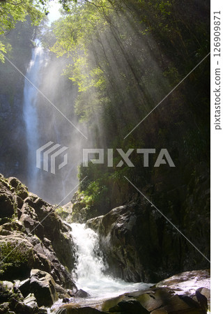 Yakushima, splashing water at Ochinotaki Falls 126909871