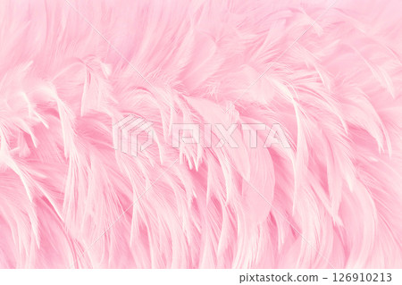 Beautiful soft pink bird feathers pattern texture background. 126910213