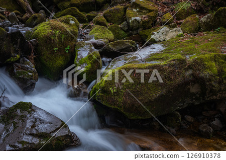 Mossy rocks and clear streams [Nagano Prefecture] 126910378