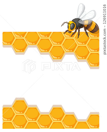 Bee on Honeycomb Vector Illustration 126911016