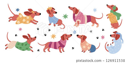 Dachshunds in clothes. Happy dog characters with different wears, male and female adorable pets, funny dress, sweater, pajamas and jacket, cartoon flat isolated garish vector set Dachshunds in clothes. Happy dog characters with different wears, male and female adorable pets, funny dress, sweater, pajamas and jacket, cartoon flat isolated garish vector set 126911538