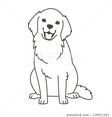金毛獵犬 126911561