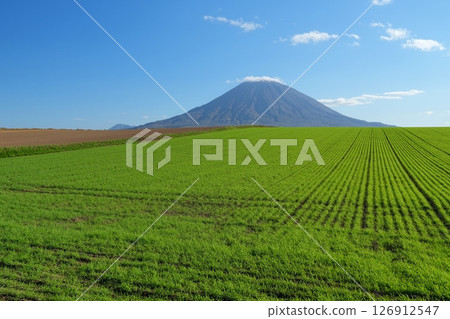 A view of Hokkaido with white clouds hanging against the blue sky and Mt. Yotei and green rolling pastures behind Ver1 A view of Hokkaido with white clouds hanging against the blue sky and Mt. Yotei and green rolling pastures behind Ver1 126912547