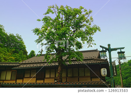 Mount Takao - Takahashi family 126913583
