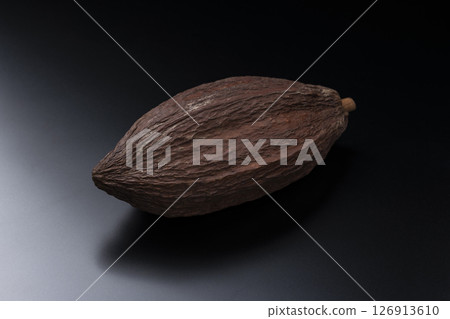 Cocoa pods on a black background 126913610