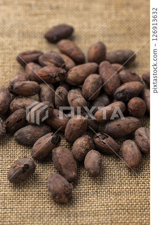 烤好的可可豆擺放在亞麻布上 126913632