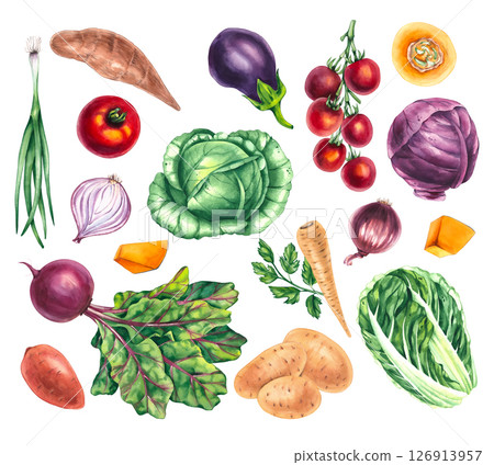 Watercolor set with vegetables isolated on white 126913957