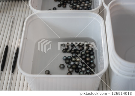 Tahitian Black Pearls from Tahaa Island, French Polynesia Tahitian Black Pearls from Tahaa Island, French Polynesia 126914018
