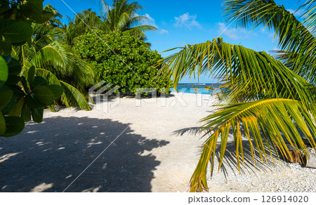 Tropical paradise beach on Tikehau Atoll, French Polynesia, with lush greenery Tropical paradise beach on Tikehau Atoll, French Polynesia, with lush greenery 126914020