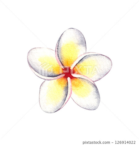 Summer watercolor illustration from the flamingo series 126914022