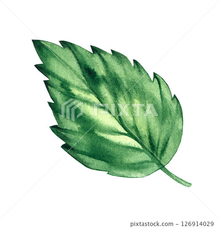 Summer watercolor illustration from the flamingo series 126914029