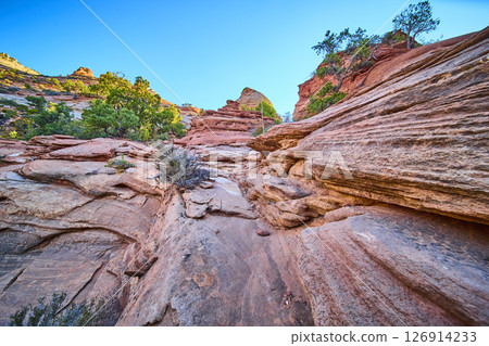 Red Rock Formations and Greenery in Zion Low Angle View Red Rock Formations and Greenery in Zion Low Angle View 126914233