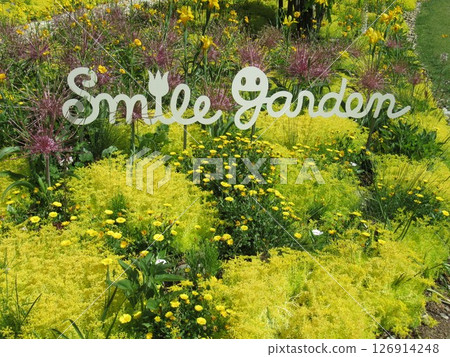 濱松花卉公園 濱松花卉公園 126914248