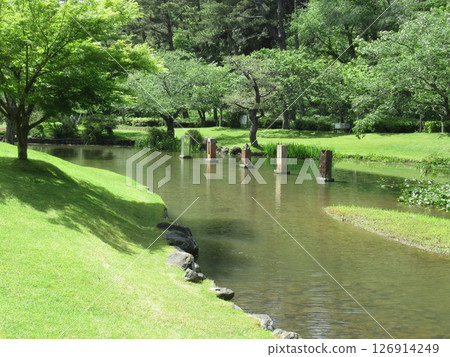 濱松花卉公園 濱松花卉公園 126914249