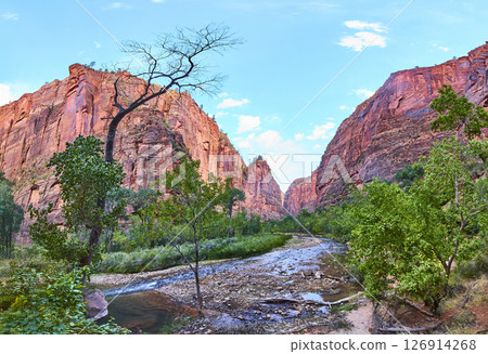 Red Rock Cliffs and River in Zion Canyon Panorama Red Rock Cliffs and River in Zion Canyon Panorama 126914268