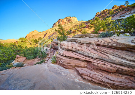 Zion Sandstone Formations in Golden Light Eye-Level View 126914280