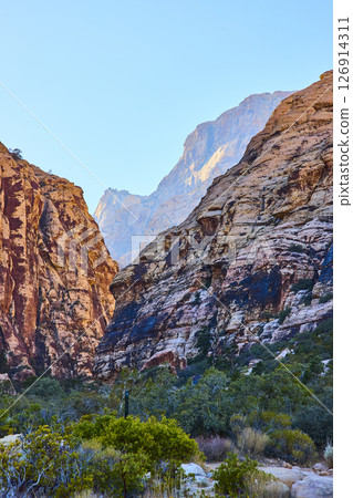 Rugged Red Rock Canyon Layers with Desert Vegetation Eye-Level View 126914311