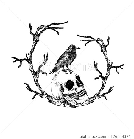 Black crow on skull and dry branches. Graphic goth illustration in Gothic style for Halloween and Day of the Dead. Raven with twigs for packaging, textile, postcards, posters. Vector Black crow on skull and dry branches. Graphic goth illustration in Gothic style for Halloween and Day of the Dead. Raven with twigs for packaging, textile, postcards, posters. Vector 126914325