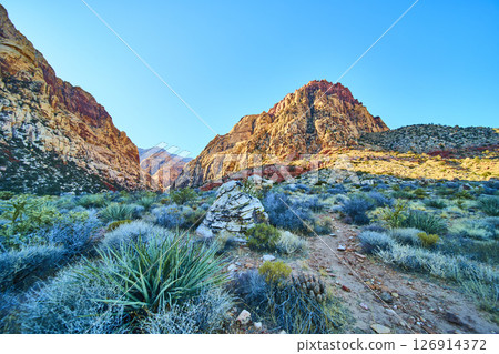 Red Rock Canyon Desert Pathway with Rugged Cliffs Eye Level View Red Rock Canyon Desert Pathway with Rugged Cliffs Eye Level View 126914372