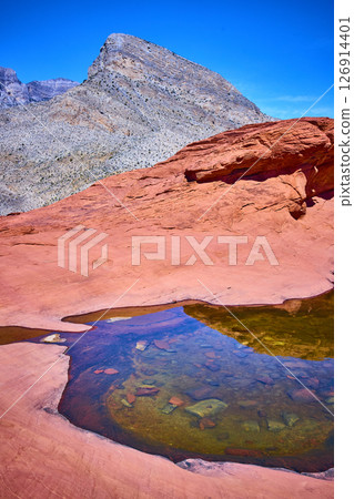 Red Rock Canyon Desert Pool Reflection Eye-Level Perspective Red Rock Canyon Desert Pool Reflection Eye-Level Perspective 126914401