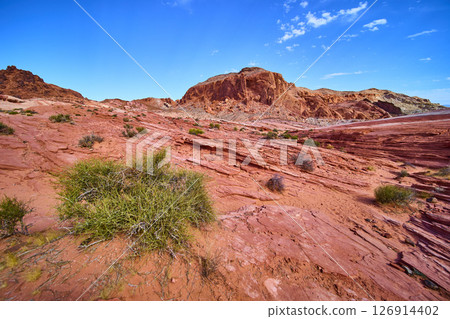 Red Rock Formations in Valley of Fire Nevada from Low Perspective Red Rock Formations in Valley of Fire Nevada from Low Perspective 126914402