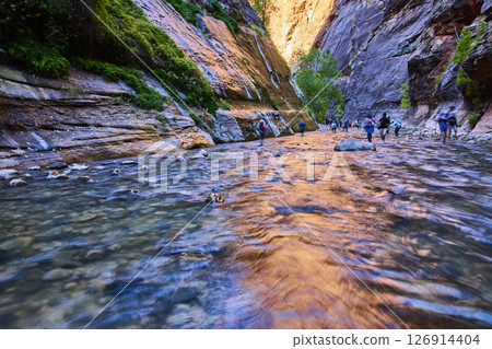Hikers in The Narrows Zion Canyon Motion Flow Perspective 126914404