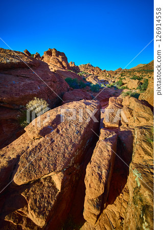 Red Rock Sandstone Boulders and Desert Vegetation with Ground Level Perspective 126914558