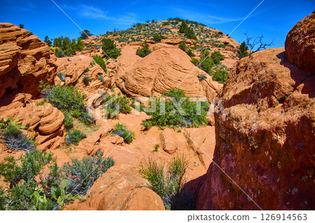 Red Sandstone Formations with Desert Vegetation and Blue Sky Eye Level View Red Sandstone Formations with Desert Vegetation and Blue Sky Eye Level View 126914563