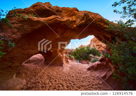 Sandstone Arch with Footprints and Desert Vegetation Ground Level Perspective Sandstone Arch with Footprints and Desert Vegetation Ground Level Perspective 126914576
