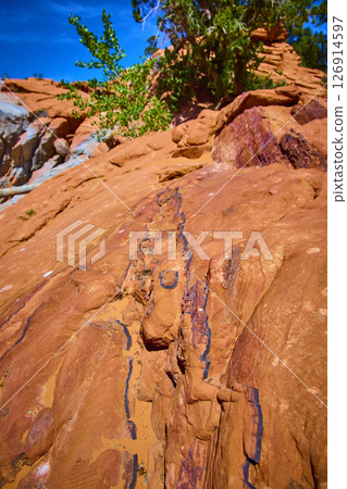 Red Sandstone Formations and Desert Tree with Deep Blue Sky Low Angle View 126914597