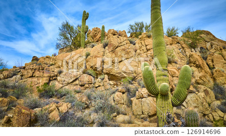 Saguaro Cacti and Rocky Desert Landscape Motion Low Upward Perspective Saguaro Cacti and Rocky Desert Landscape Motion Low Upward Perspective 126914696