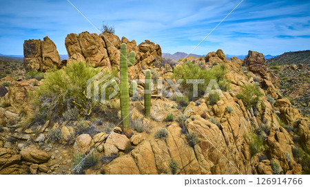 Aerial Saguaro Cacti and Rocky Outcrops in Sonoran Desert Daytime Fly Over 126914766