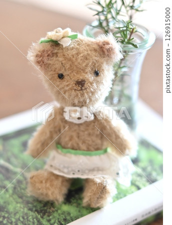 Teddy bear  126915000