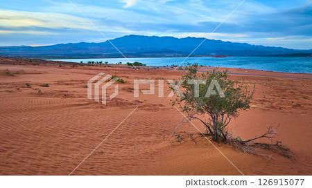 Aerial Fly Over Red Sand Dunes Desert Shrub and Blue Reservoir Sand Hollow Utah Aerial Fly Over Red Sand Dunes Desert Shrub and Blue Reservoir Sand Hollow Utah 126915077