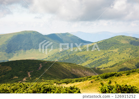 carpathian mountain landscape in summer. outdoor adventure. natural environment. beautiful view with rolling hills. alpine scenery of chornohora ridge. vacation and hiking background carpathian mountain landscape in summer. outdoor adventure. natural environment. beautiful view with rolling hills. alpine scenery of chornohora ridge. vacation and hiking background 126915252