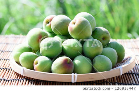 Green plum (Kishu Nanko plum) 126915447