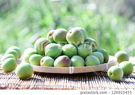 Green plum (Kishu Nanko plum) 126915455