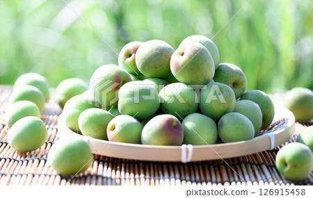 Green plum (Kishu Nanko plum) Green plum (Kishu Nanko plum) 126915458