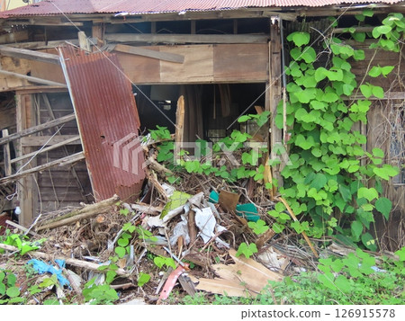 Abandoned and collapsed wooden house Abandoned and collapsed wooden house 126915578