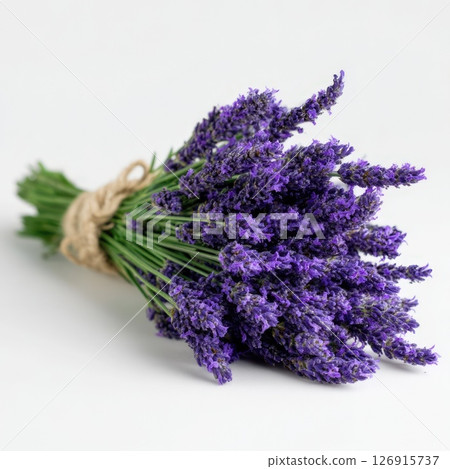 Lavender bouquet arranged on a white background for decoration or gifting purposes Lavender bouquet arranged on a white background for decoration or gifting purposes 126915737