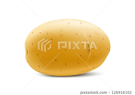 Raw whole yellow potato. Young potato mockup for web design isolated on white background. Vegetable fresh natural product, healthy lifestyle, eating concept. 3d realistic vector illustration 126916102